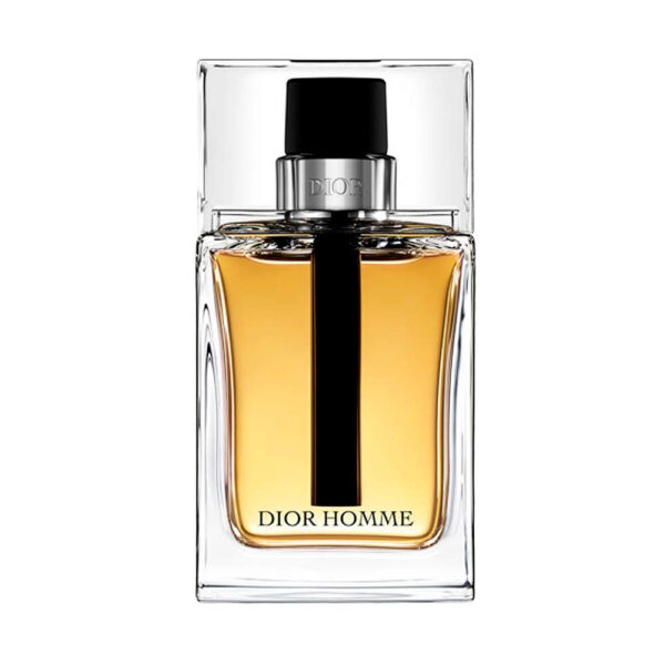 Christian Dior Homme Men EDT 100ml