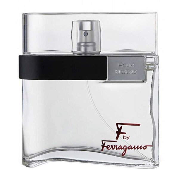 Ferragamo F Silver Men EDT 100ml
