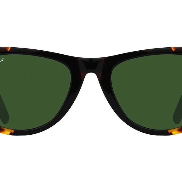 Ray Ban Wayfarer Tortoise