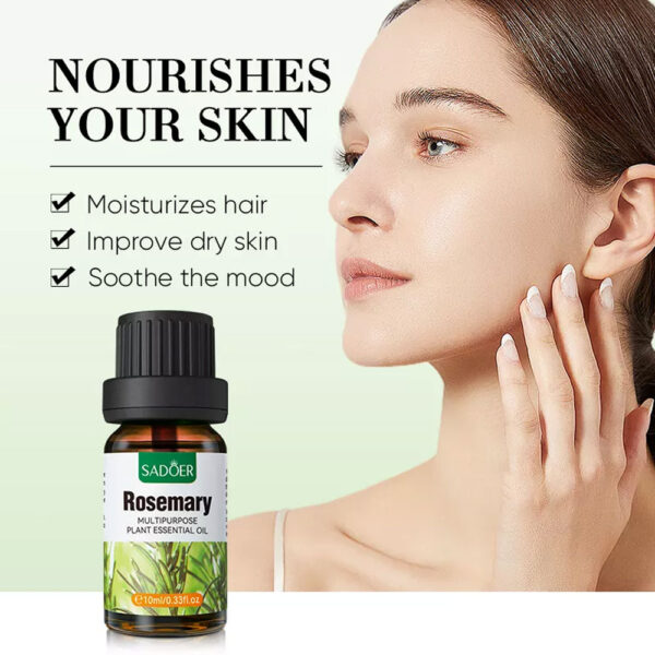 Sadoer Rosemary Multipurpose Pure Plants Essential Oil – 10ml