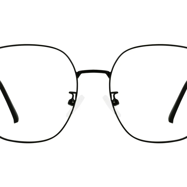 Vision 1113
