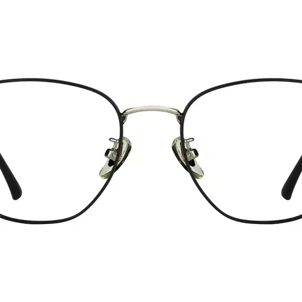 Vision 8095