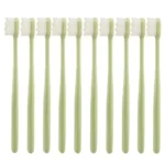 Protective travel case for nano toothbrush in parrot color