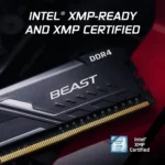 Kingston Fury Beast DDR4 RAM showing 288-pin connector