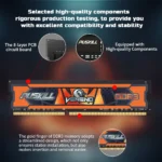 PUSKILL VENENO DDR3 RAM module showing memory chips