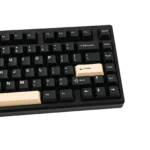 Back view displaying wireless connectivity options of Bridge75 keyboard